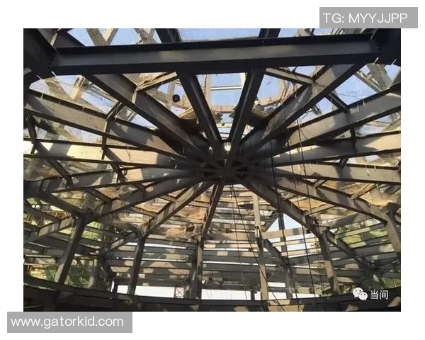 徐昕的艺术之路：从初心到巅峰的探索与成长历程